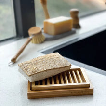 Eco Sponge